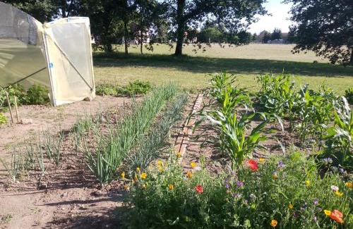 Busserolles Bed & Breakfast | Bed and Cèpes