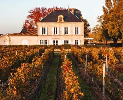 Saint-Emilion Bed & Breakfast | Bed & Breakfast du château Grand Corbin