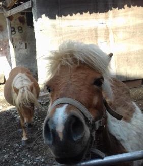 Chiaverano Bed & Breakfast | Bed & Breakfast Varionda