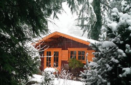 Krachtighuizen Bed & Breakfast | Bed En - of zonder - Breakfast Putten