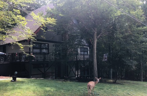 Charter Hills House | Beech Gem PRIVATE GUEST SUITE nestled on Beech