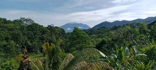 Sidemen House | Beji Ayu Villas Sidemen