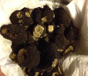 Marville Hotel | Bel Air