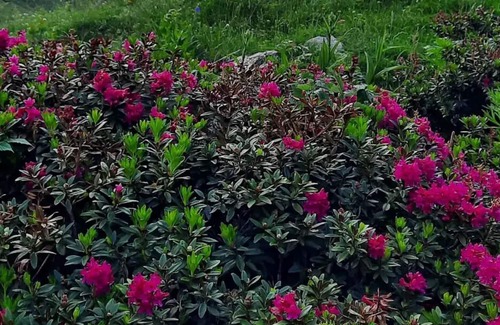 La Cabanasse Apartment | Bel Appartement Cosy Rénové au Cœur de la Cité Vauban