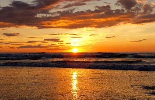 Kokotia Apartment | Bel appartement vue mer - 1er rang front de mer