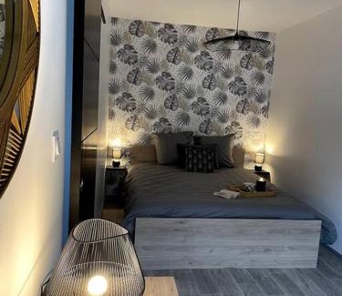 Moulins Apartment | Bel appartement sur cour plein centre ville et parking