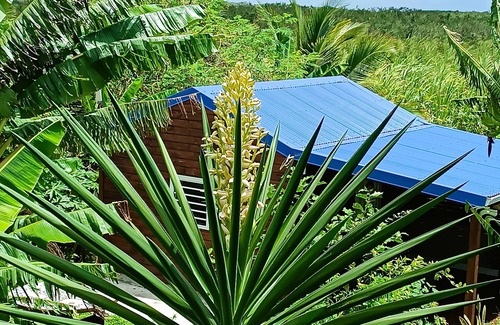 Anse-Bertrand Cottage | "Bel Ti Mam'zelle Créole"