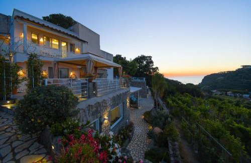 Lacco Ameno Bed & Breakfast | Belgodere di Mezzavia Apartments