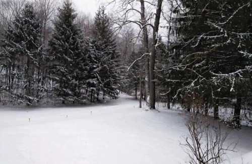 East Branch House | BELLA VISTA HIDEAWAY