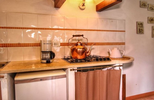 Radicondoli Other | Bellavista farm of Quercini Maurizio