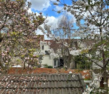 Quartier Centre Ville Apartment | Belle F2 centre ville Massy avec jardin