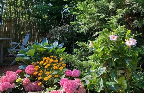 Bellport Cottage | Bellport Inn, Charming Cottage in the Village!