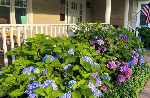 Bellport Cottage | Bellport Village Modern Cottage with Pool