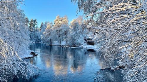 Hagfors House | Beloni 122