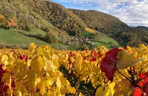 Boyeux-Saint-Jerome House | Belvédère du Haut Bugey - Refuge dans les cépages
