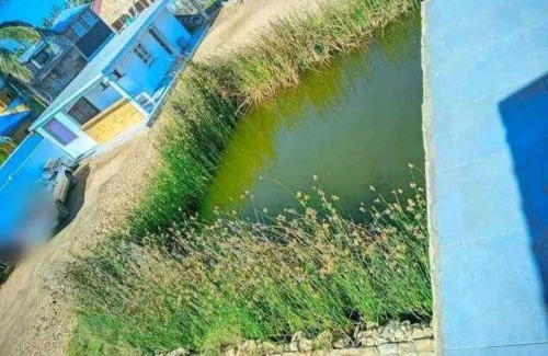 Berenty Private Reserve Apartment | Bemaso