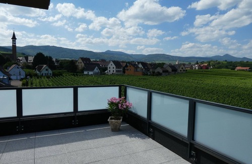 Bennwihr Apartment | BENNWIHR-ALSACE ▶️entre Riquewihr and Kaysersberg near COLMAR 🎄PROMO NOËL