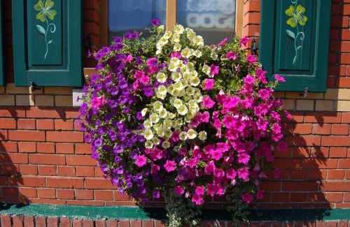 Klingenthal House | Berggasthaus & Pension Schöne Aussicht