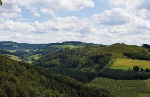 Gellinghausen Apartment | Berghof Steimel