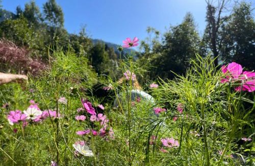 Lienz Apartment | Bergmanns Ferienapartment