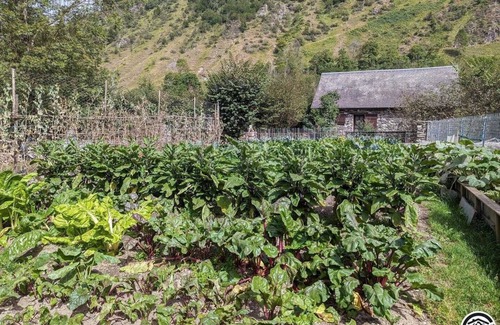 Peyragudes House | Bernadaous - Oô - Gîte