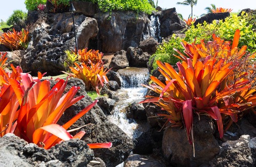 Hanamaulu Apartment | Best Deal Luxury Resort in Town Sleep 4 romantic, fun and relaxed