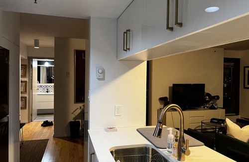 Downtown Vancouver Apartment | Best Downtown Vancouver in the shopping and dining district on Alberni Street