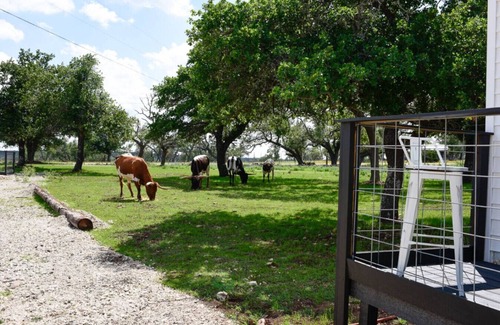 Fredericksburg House | Best little Fredericksburg Bed and Breakfast Unit2