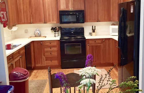 Skyland House | Best Of Both! Private Asheville Retreat Near Attractions and Surrounding Areas