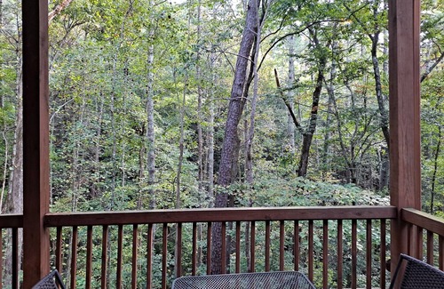 Helen Cabin | Best of both worlds! Feel secluded a mile from downtown in a luxury cabin.