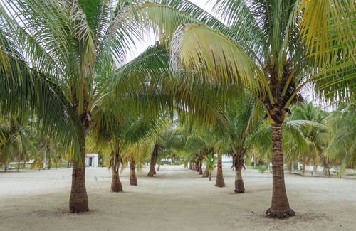 Yucatan Peninsula House | Best Place to Relax W/pool Frontbeach House! Pelicanos