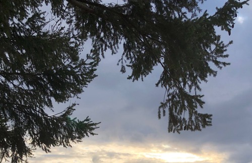 Eastsound House | Best views on Orcas and close to town!