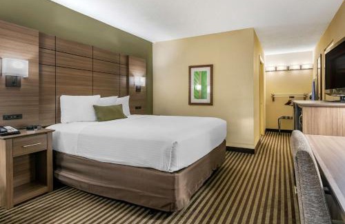 Stuart Hotel | Best Western Downtown Stuart