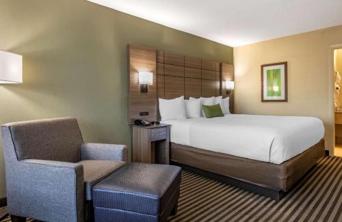 Stuart Hotel | Best Western Downtown Stuart
