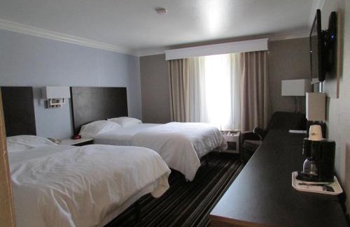 Hemet Hotel | Best Western Plus Diamond Valley Inn