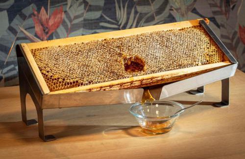 Chantrerie-Gachet Hotel | Best Western Plus Hotel De La Regate-Erdre