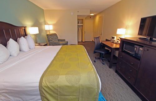 Williamsburg Hotel | Best Western Williamsburg Historic District