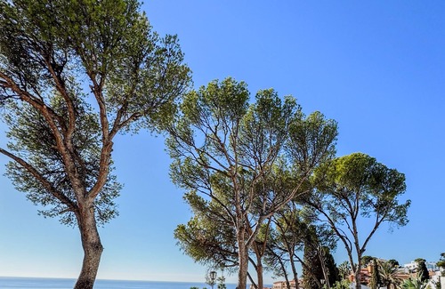 Almunecar Villa | Bienvenido in der Villa Los Pinos
