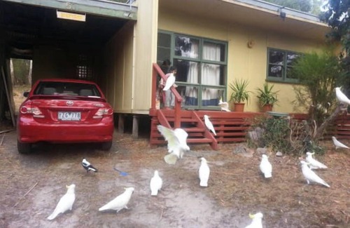 Halls Gap House | Bienvenu- Self Contained Cottage