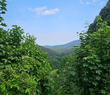 Aubure House | Bienvenue chez jacquou Chambre d'hote cher l'habitant