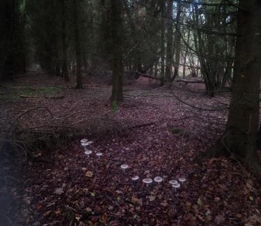 Saint-Pierre-de-Plesguen House | Bienvenue