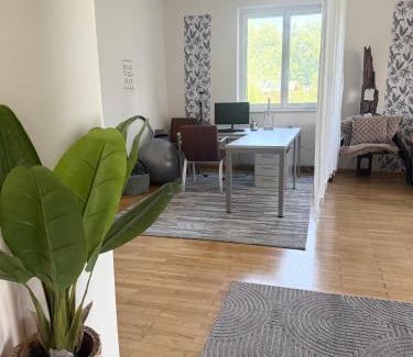 Klagenfurt am Woerthersee Apartment | Big Apartment With Garden