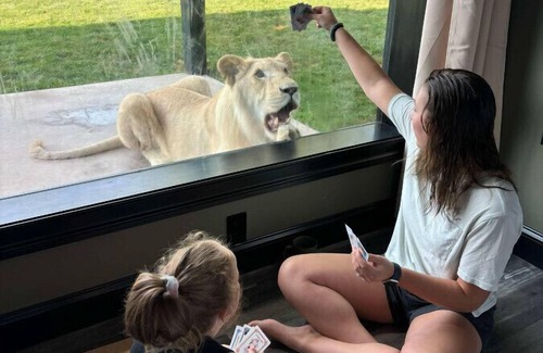 Town of Sullivan House | Big Cat Bungalows at The Haven - Lion 4