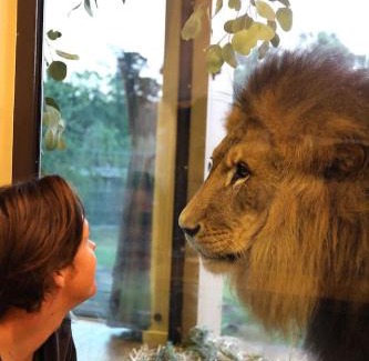 Town of Sullivan House | Big Cat Bungalows at The Haven - Tiger 2