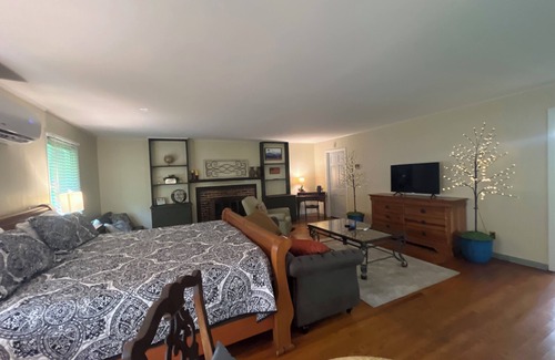 Damascus Apartment | Big Dam Room right off VA Creeper Trail Damascus
