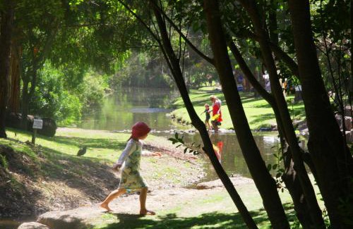 Wye River Other | BIG4 Wye River Holiday Park