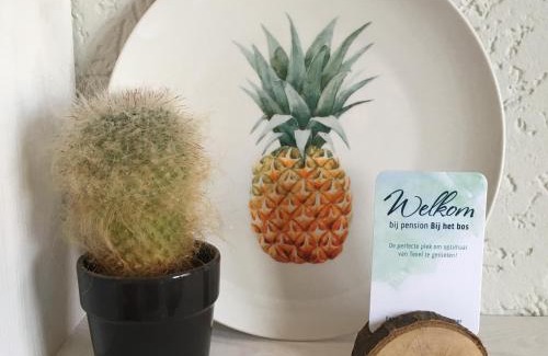 De Koog House | Bij het bos Texel