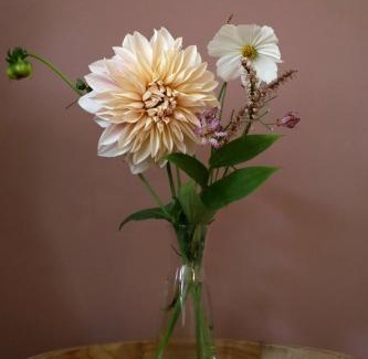 's-Hertogenbosch Bed & Breakfast | Bij Joseph