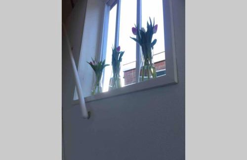 Hauwert Apartment | bij San & Ka