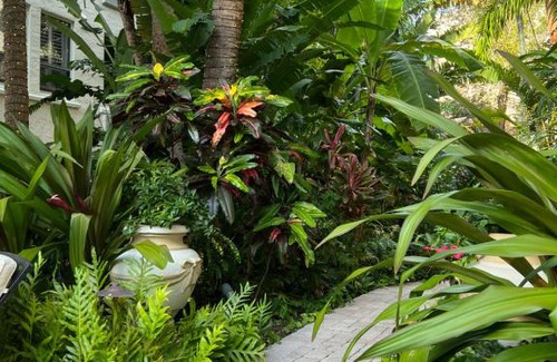 Palm Beach - West Palm Beach Apartment | BIJOU TERRACE - Palm Beach - Pool - Beach